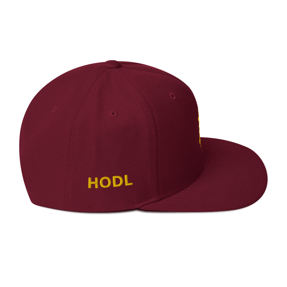 BITCOIN HODL BTC Embroidered | Hats | bitcoin-hodl-btc | printful