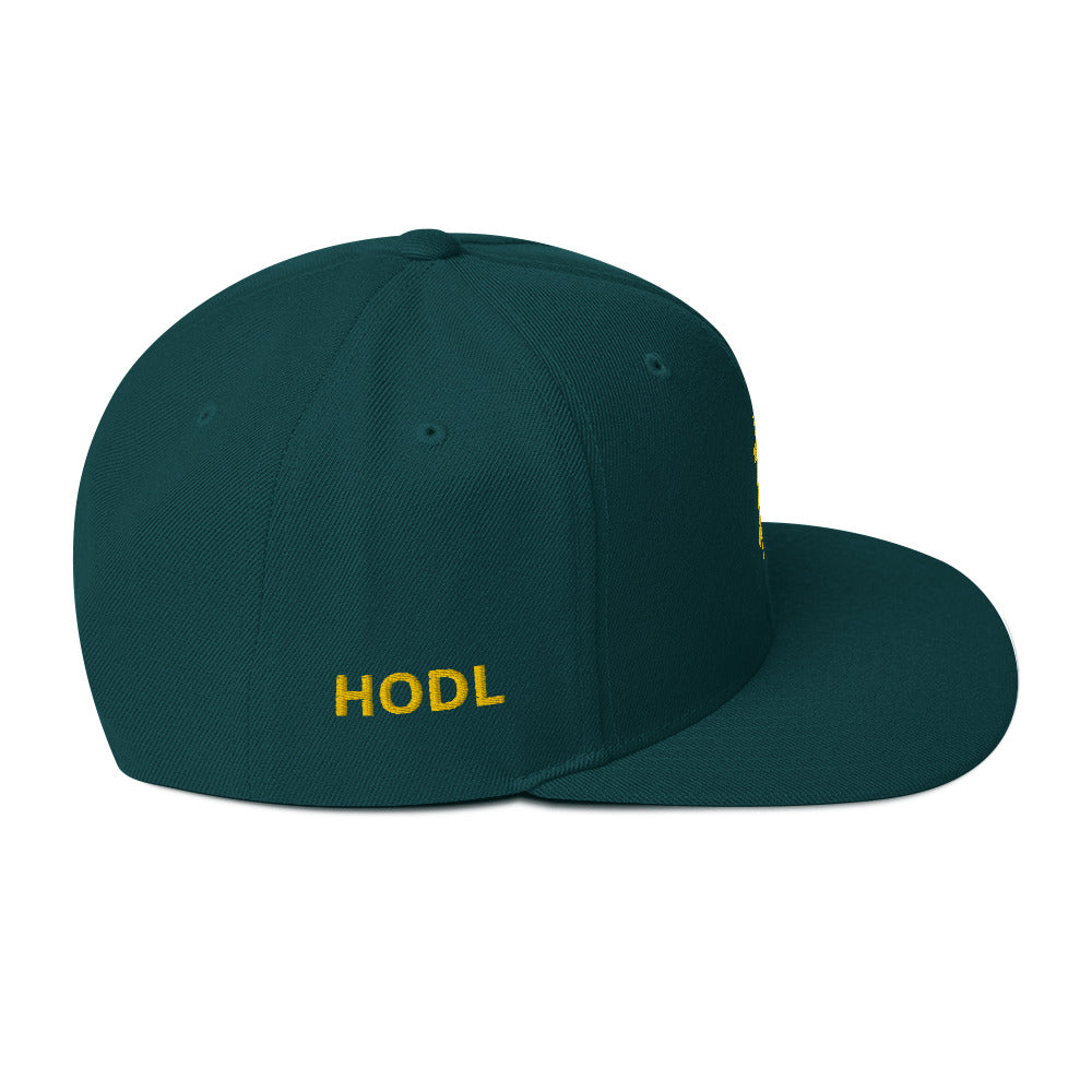 BITCOIN HODL BTC Embroidered | Hats | bitcoin-hodl-btc | printful