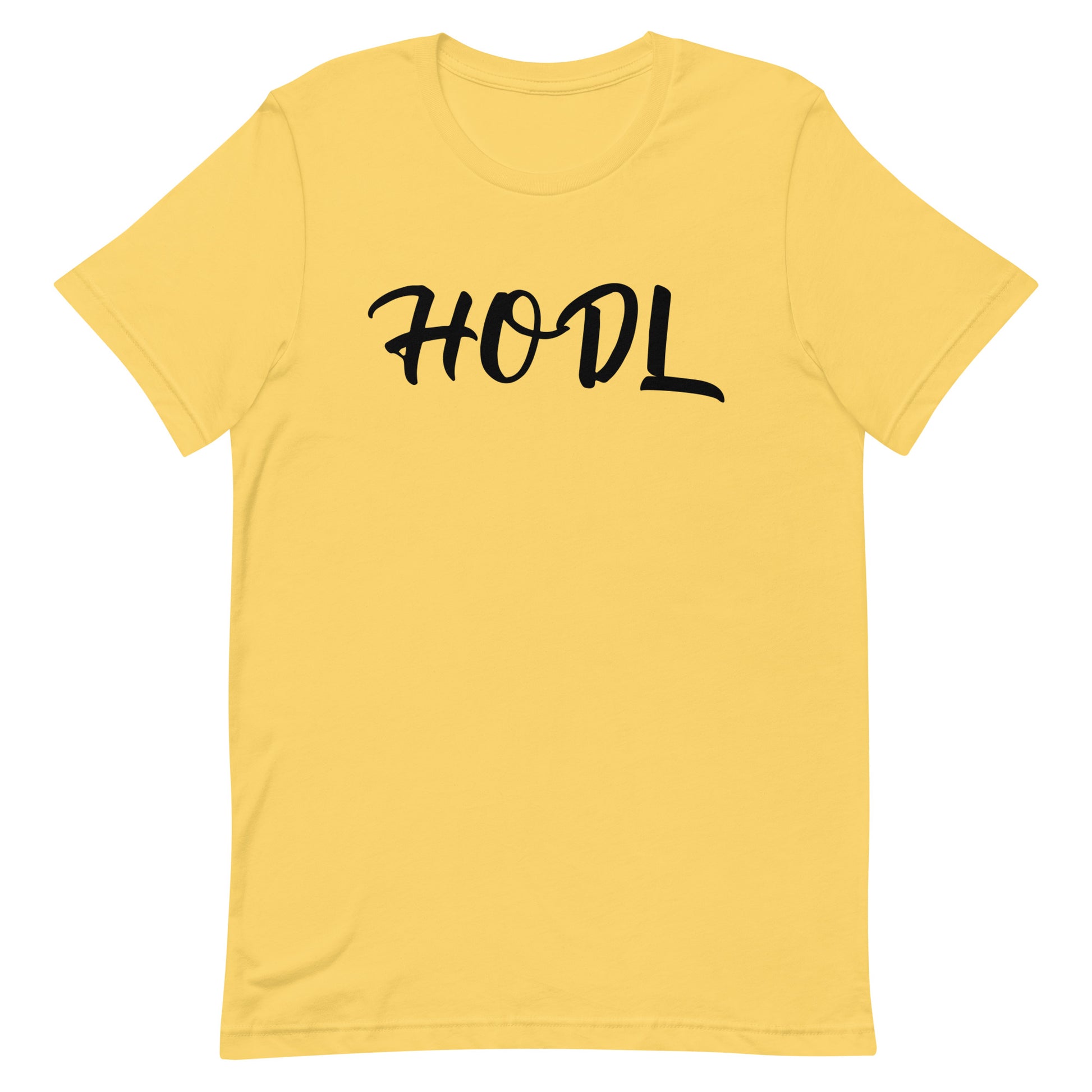 Hodl Chief | hodl-chief-tee | printful