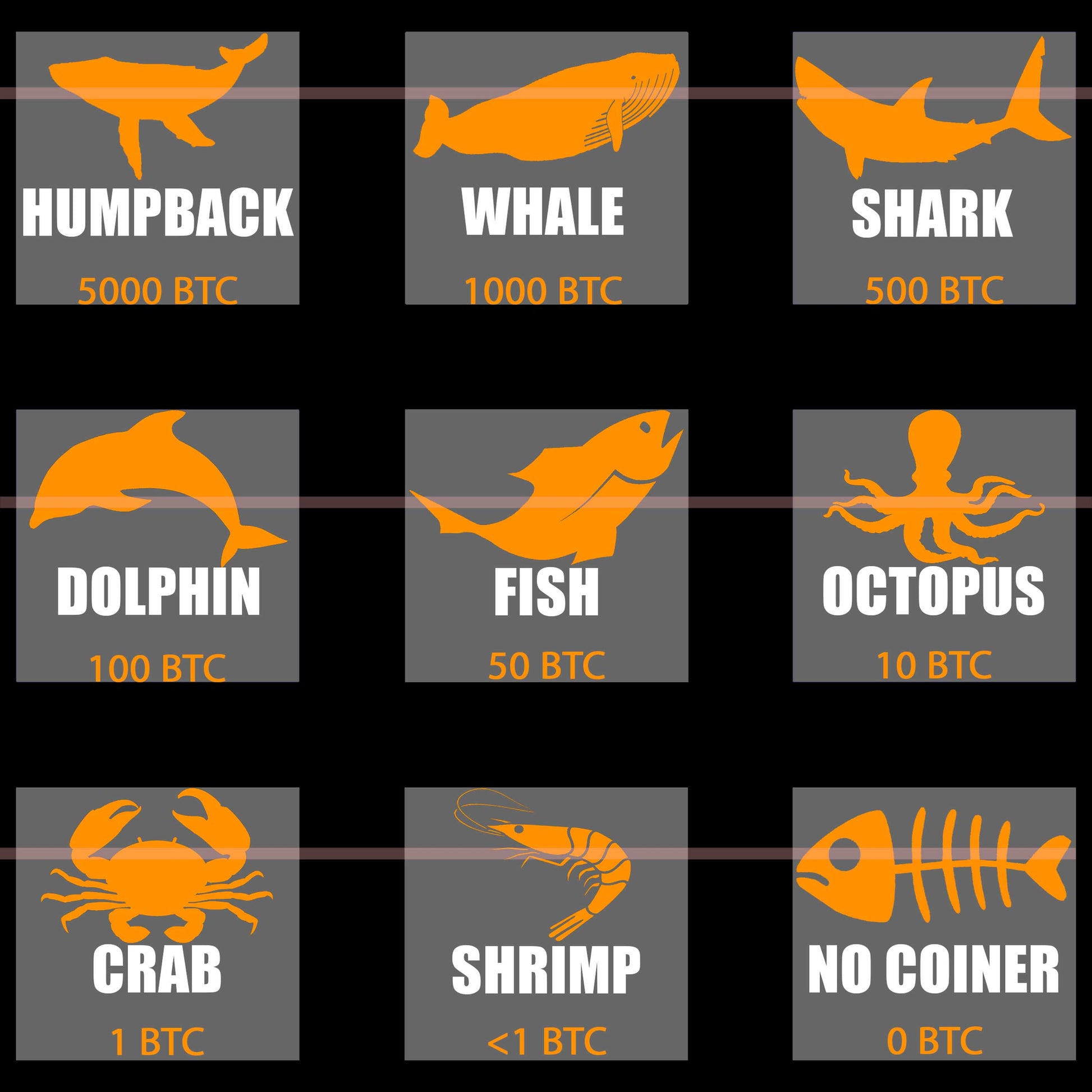 Bitcoin Hodler Ranks Tee In N Out Crypto