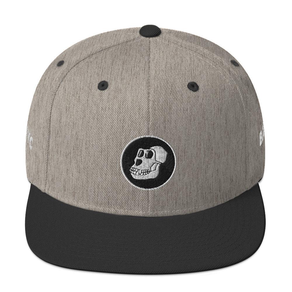 APE Coin Embroidered | Hats | ape-coin-hat | printful